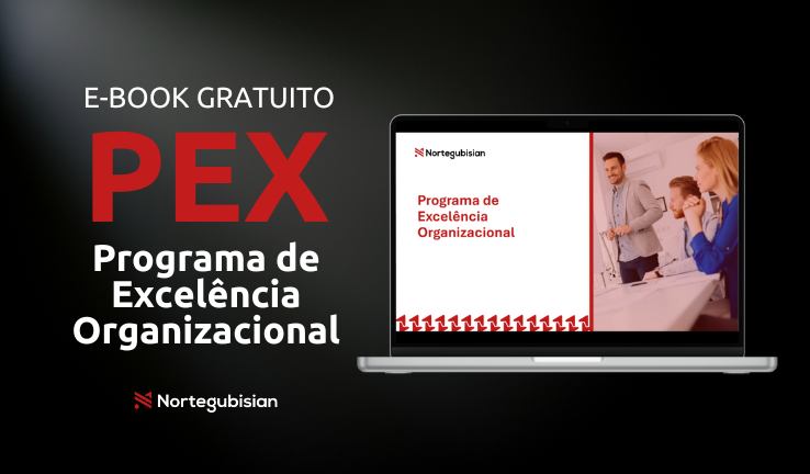 E-book PEX