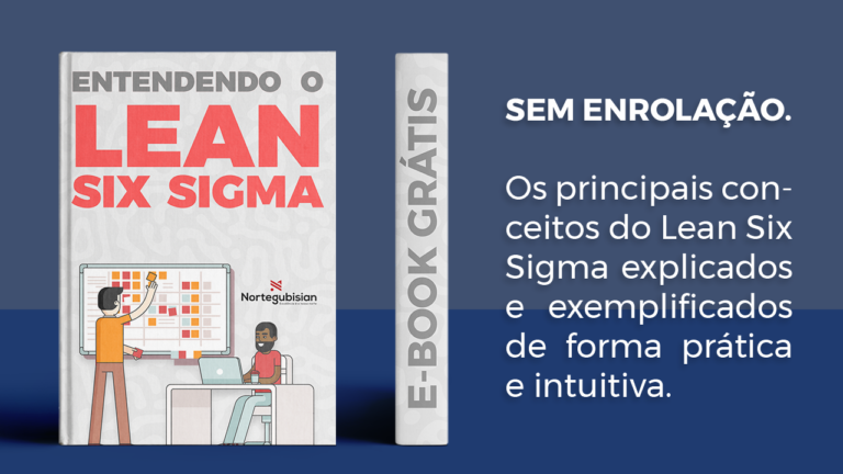 E-book Lean Six Sigma