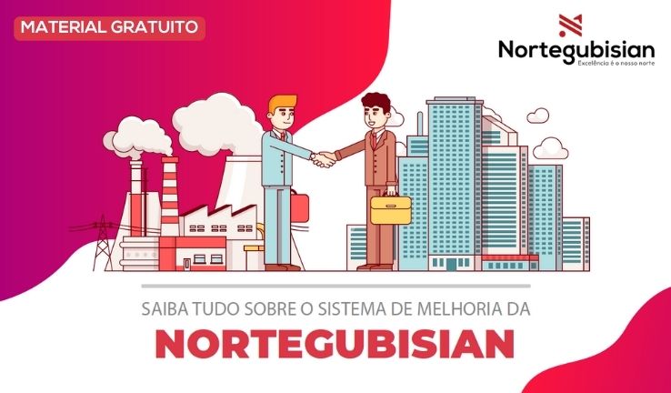 E-book Sistema de Melhoria Nortegubisian