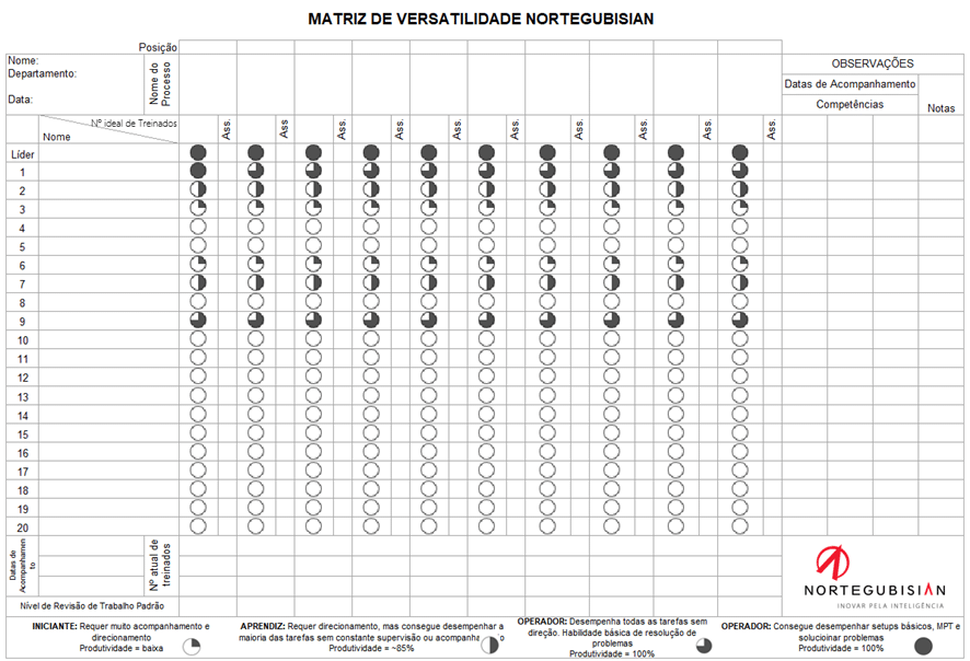 matriz de versatilidade nortegubisian